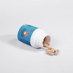 Lion's Mane Mushroom Vendercart