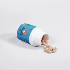 Lion's Mane Mushroom Vendercart