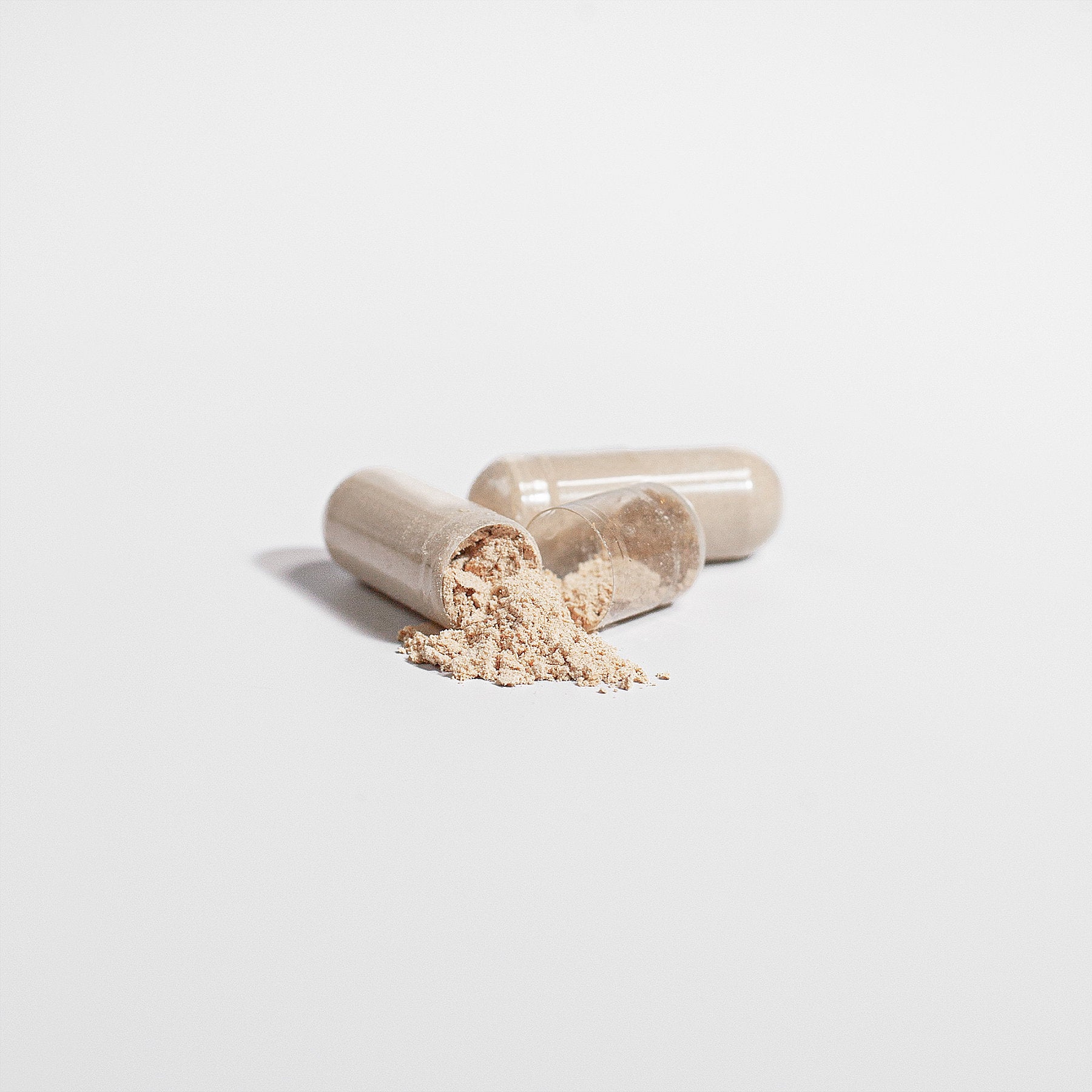 Cordyceps Mushroom Vendercart